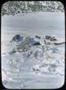 Image of Hole in snowbank for shelter - Crocker Land Expedition